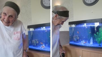 Swansea care home welcomes fish to their new tank